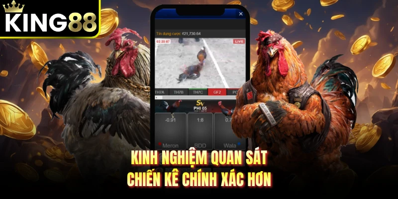 Kinh nghiệm quan sát chiến kê chính xác hơn